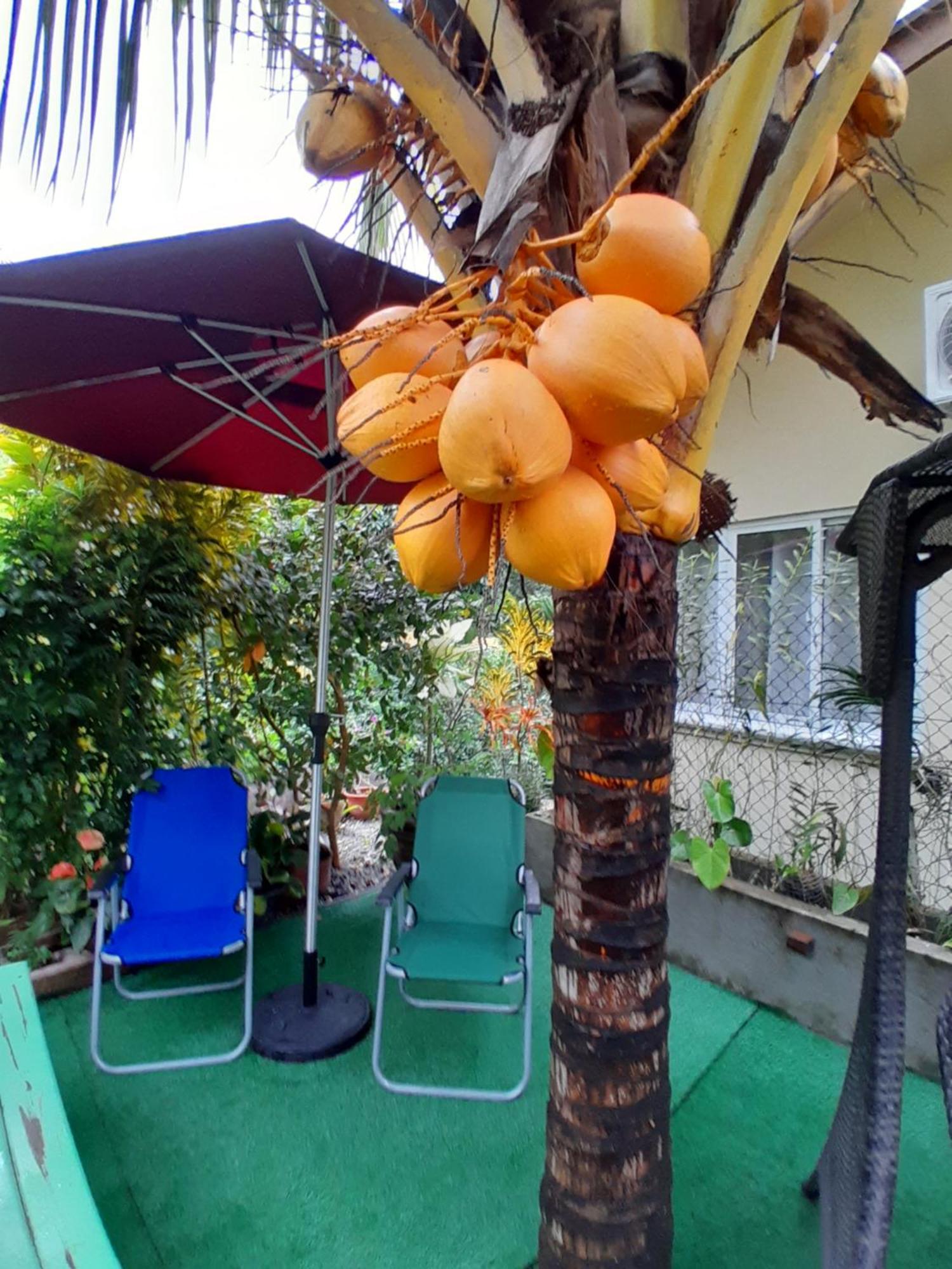 Milles Montagnes Residence Anse Royale Exterior foto
